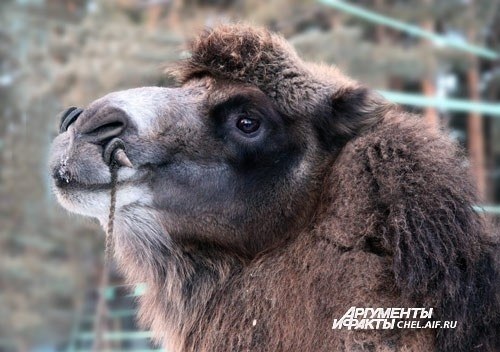 Модели артиллерийских систем