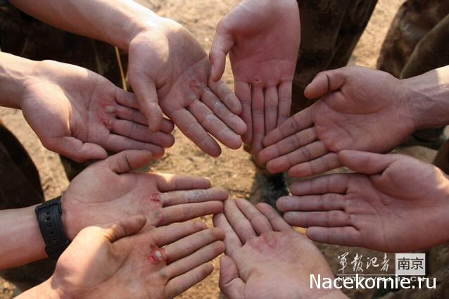 Танки Мира Коллекция - График выхода и обсуждение