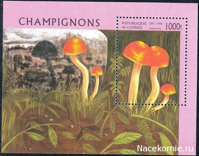 Почтовые Марки Мира №6