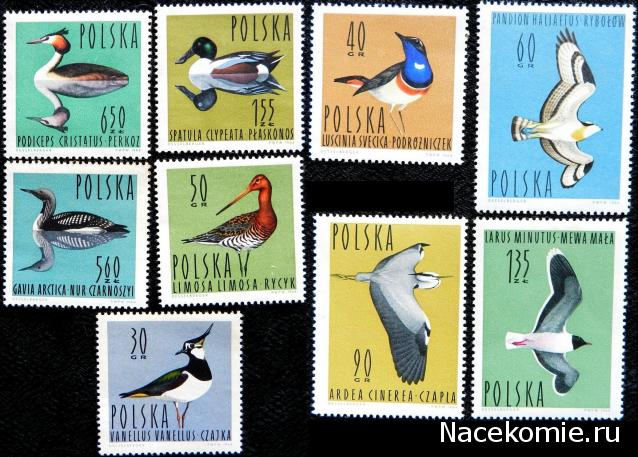 Почтовые Марки Мира №38