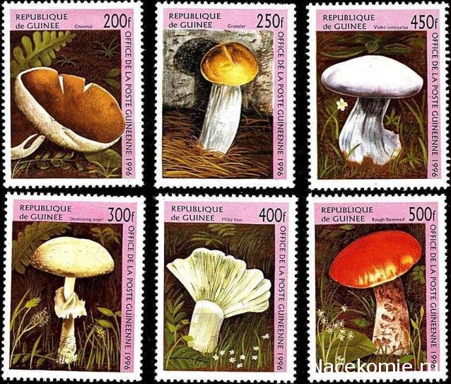 Почтовые Марки Мира №6