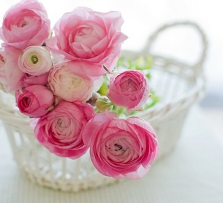 Eriden. Сперва жильцы, потом и домик