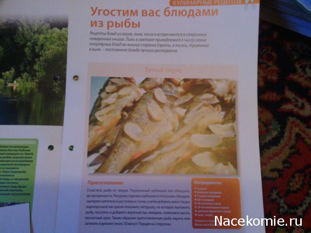 Тестовая серия