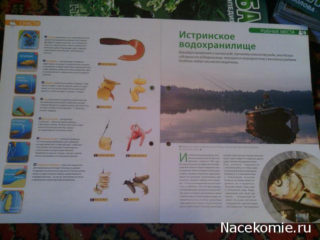 Тестовая серия