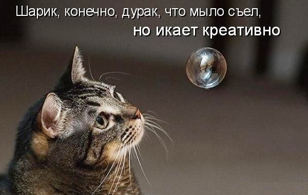 Matrena - Дом семьи де Монфор