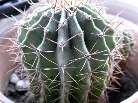 Практика. Задания с картинками