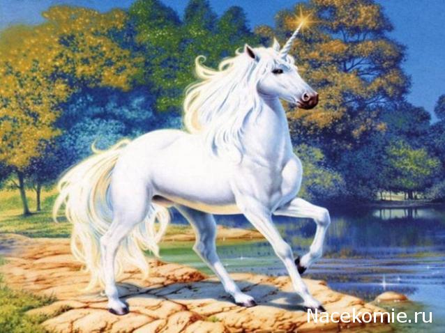 Практика. Задания с картинками