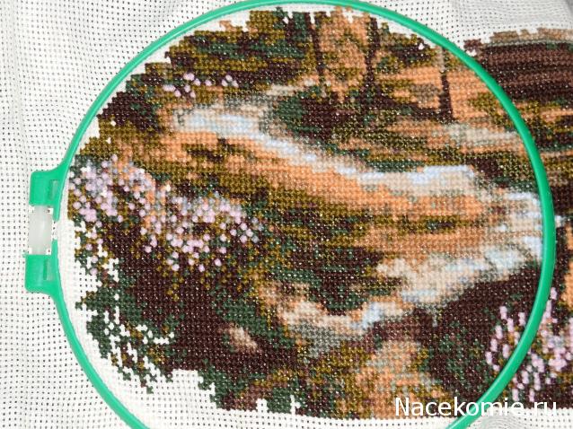 100 крестиков!