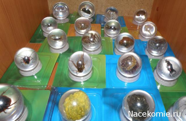 Чудеса Природы хранение журналов и коллекции