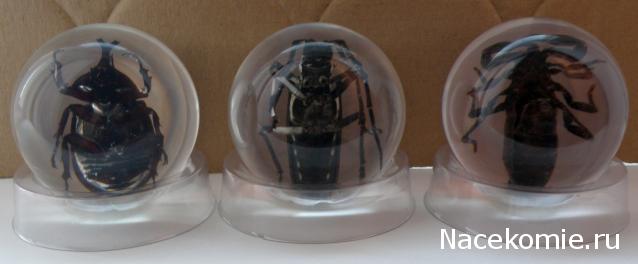 Чудеса Природы. Подписка