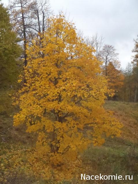 Мой любимый город или дорогие сердцу места