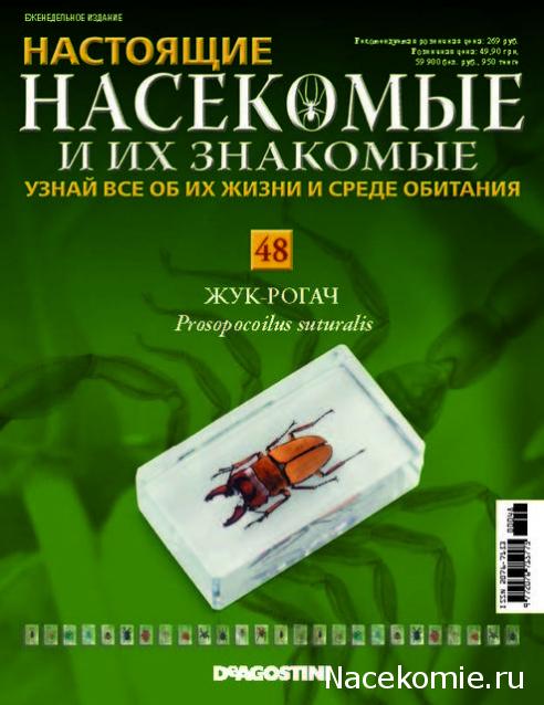 Насекомые и их знакомые 2014 - График Выхода и обсуждение