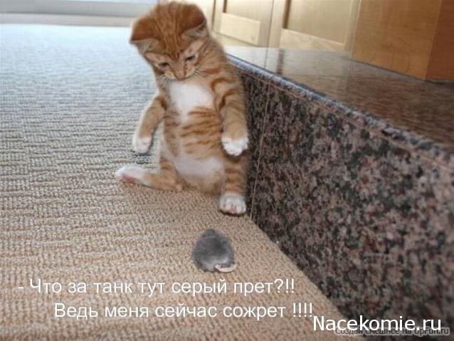 Танкодром (Общая Болталка танковых разделов)