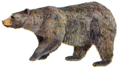 Монеты и Банкноты 2012 - График выхода и обсуждение