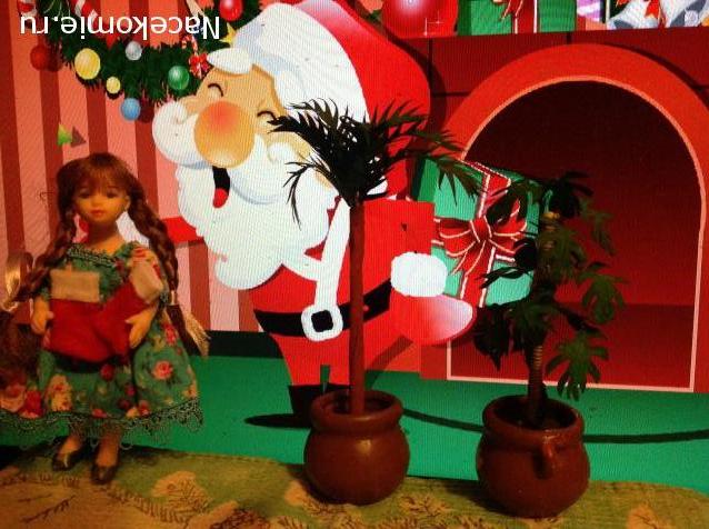 Санта 2014- 2015