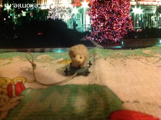 Санта 2014- 2015