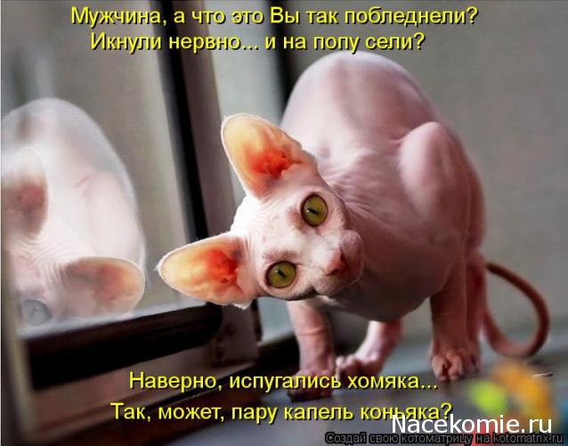 Куклы в народных костюмах – "Девчушки-болтушки"