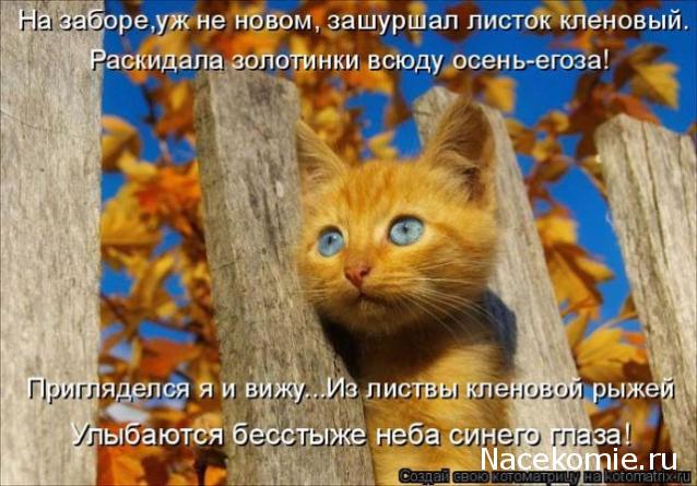 Куклы в народных костюмах – "Девчушки-болтушки"