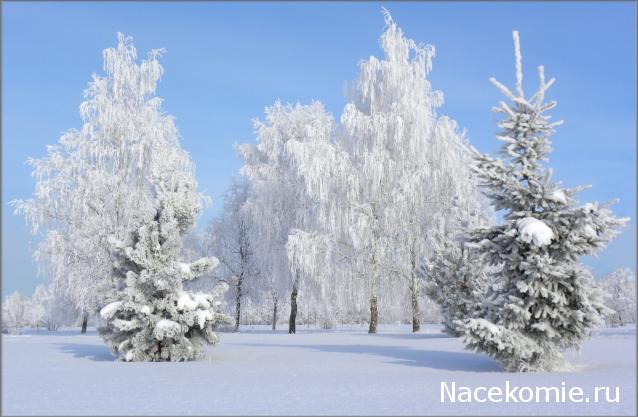 Наши Дни Рождения