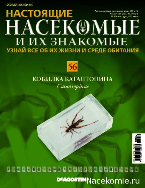 Насекомые и их знакомые 2014 - График Выхода и обсуждение