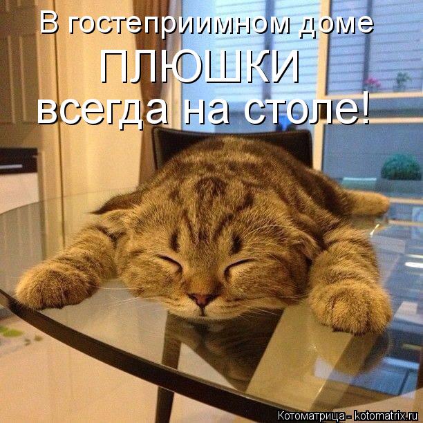 Куклы в народных костюмах – "Девчушки-болтушки"