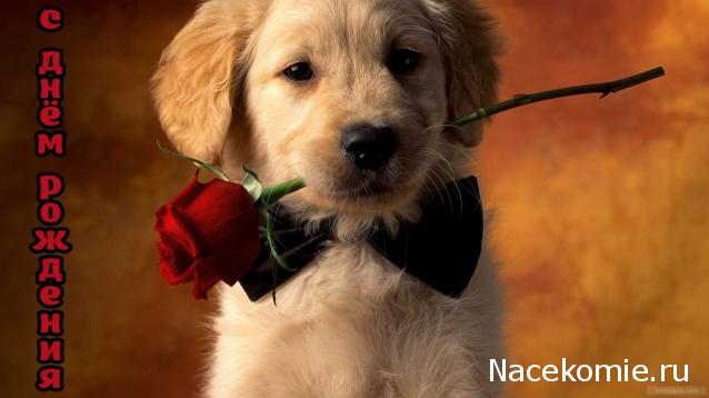 olga63- не знаю что получится