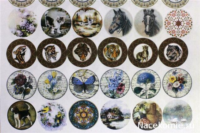 Caracal, строительство в разгаре