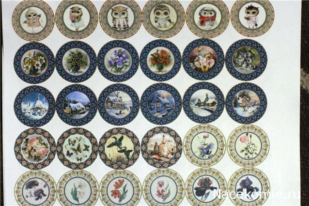 Caracal, строительство в разгаре