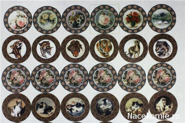 Caracal, строительство в разгаре