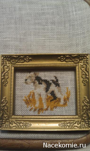 LILY - Галочкино чудо!