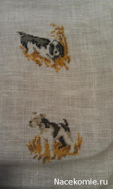 LILY - Галочкино чудо!