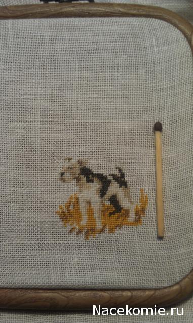 LILY - Галочкино чудо!