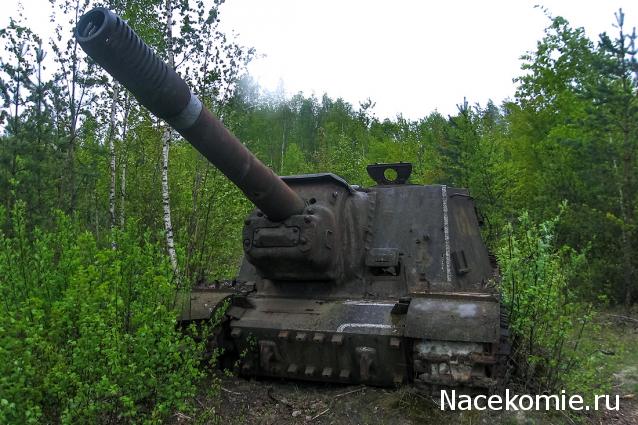 Танкодром (Общая Болталка танковых разделов)