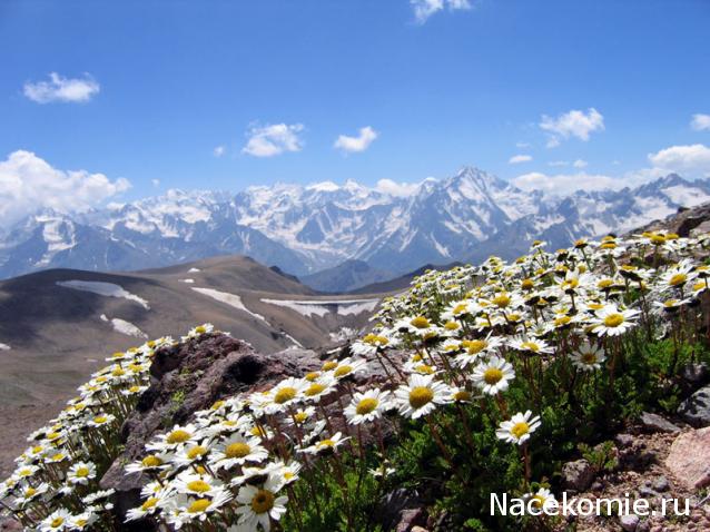 Наши Дни Рождения