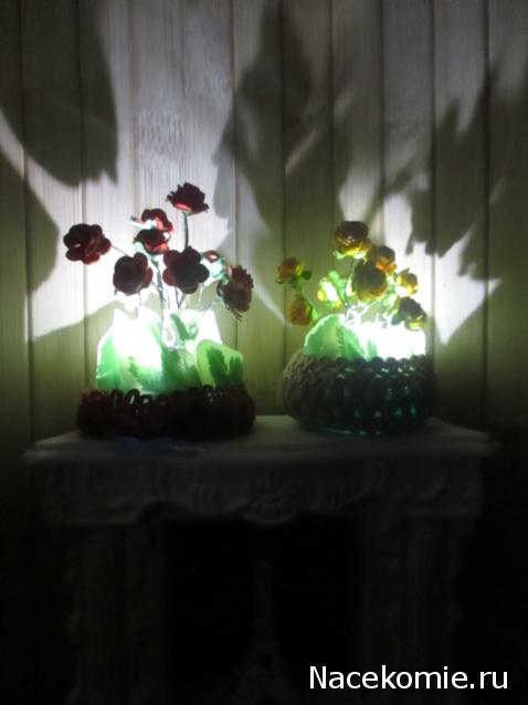 IriSelena. Вне стиля, или Непонятный домик