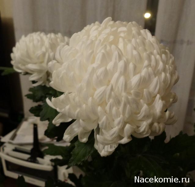 Marisha39 - Минички