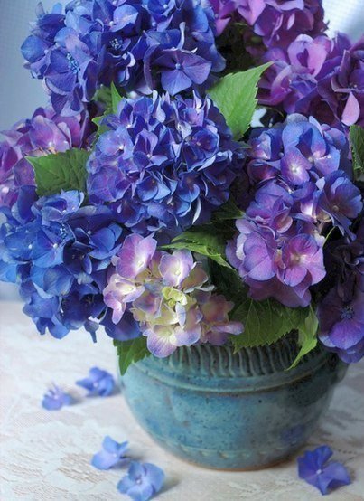 repLIka - Лучше поздно, чем никогда