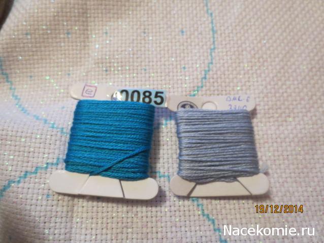 Round Robin №5 (российский)