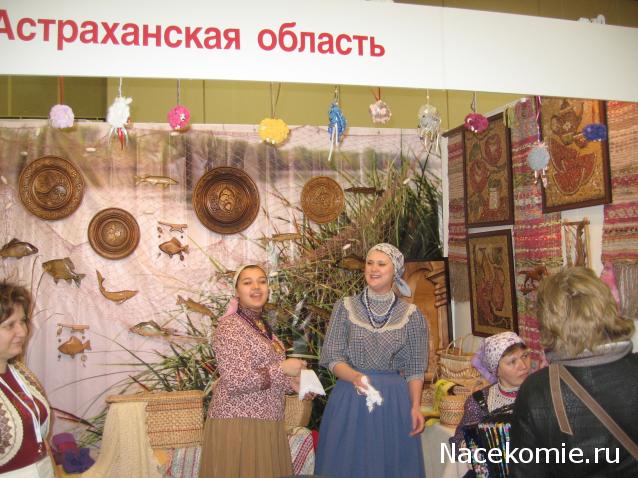Выставки, музеи, фестивали: анонсы, фотографии, обсуждение