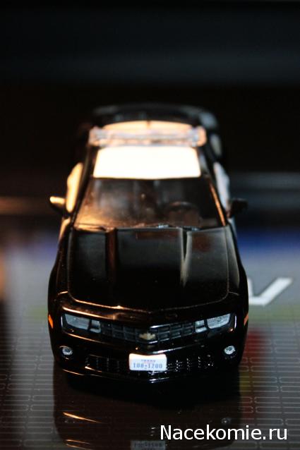 Дежурная Часть - Болталка форума Полицейские Машины Мира