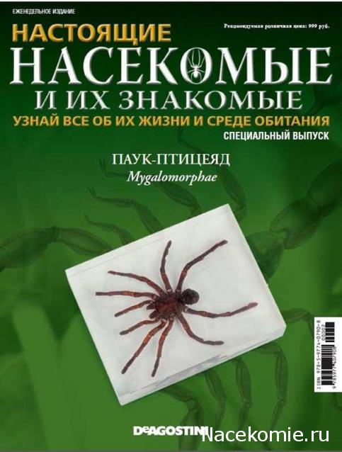 Насекомые и их знакомые 2014 - График Выхода и обсуждение
