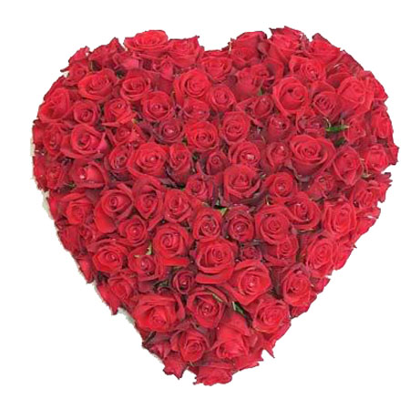 Ksana - Мой дом