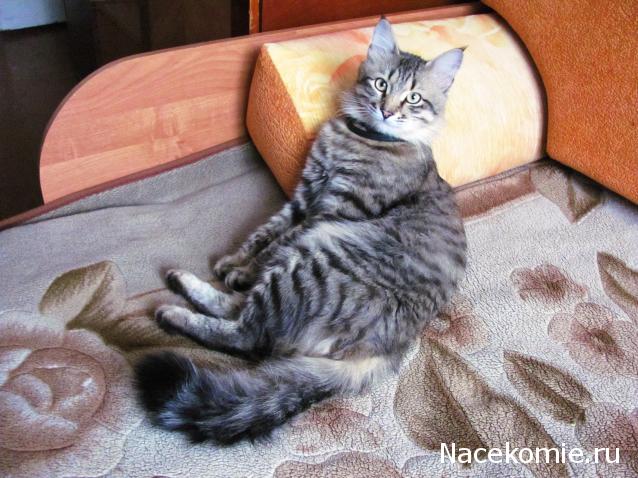 Куклы в народных костюмах – "Девчушки-болтушки"