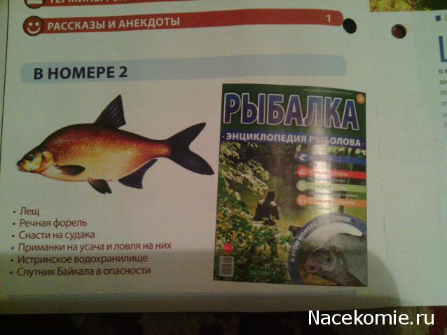Рыбалка. Энциклопедия Рыболова - журнал (Ашет)