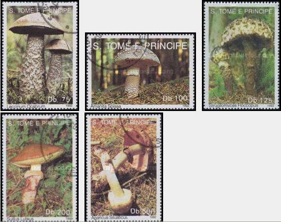 Почтовые Марки Мира №49