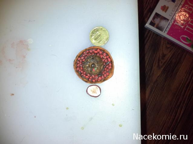 nastyasteam - Еда в миниатюре