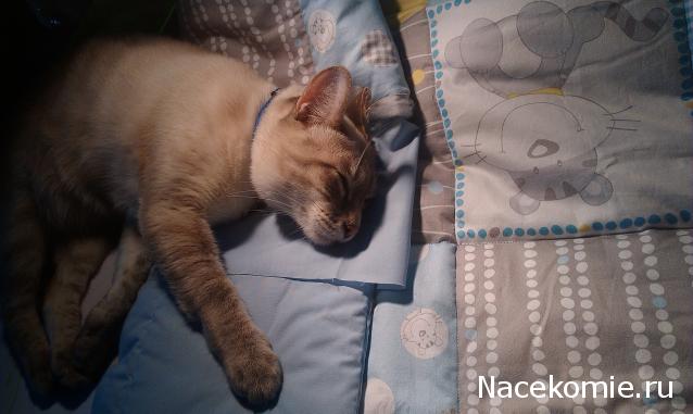 Пэчворк в деталях - наши работы