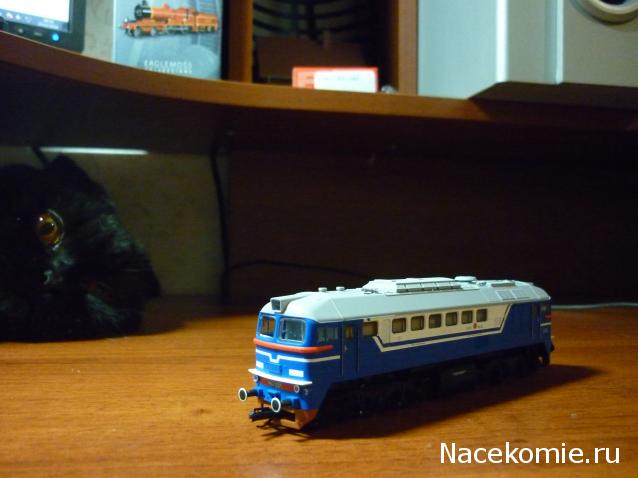 Наши коллекции.