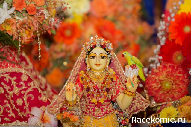 littledasi - чтобы малыши чувствовали себя, как дома...