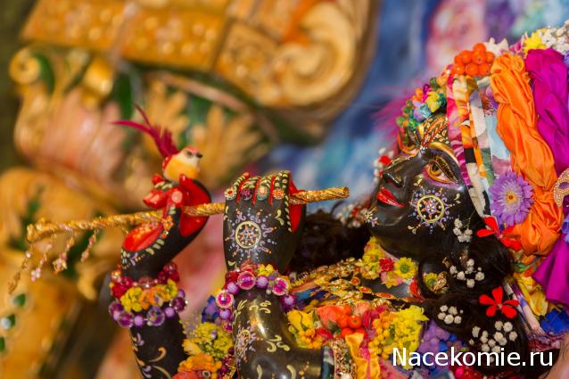 littledasi - чтобы малыши чувствовали себя, как дома...